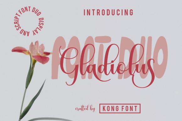 Gladiolus: A Modern Script Font for Playful Designs